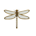 LIBELLULE MIROIR | DECO